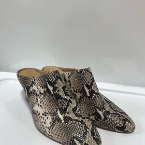 Women's Snakeskin Ankle Boots